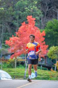 BIB: 8214
                            <button type="button" onclick="openModal(19239229)" class="btn btn-primary btn-sm float-right btn-popup" data-toggle="modal" data-target=".modal-high-quality">
                        <i class="fas fa-shopping-cart"></i> Add to Cart
                    </button>
                                            <button type="button" onclick="isThisMe(19239229, true)" class="btn btn-success btn-sm float-right btn-popup btn-isme hidden" data-toggle="tooltip" data-placement="bottom" title="นี่คือรูปของคุณใช่ไหม คลิกที่นี่เพื่อเอาเข้าอัลบั้ม">
                        <i class="fas fa-plus"></i> Add to album
                    </button>
                    <button type="button" onclick="isThisMe(19239229, false)" class="btn btn-warning btn-sm float-right btn-popup btn-isnotme hidden">
                        <i class="fas fa-ban"></i> Remove from album
                    </button>